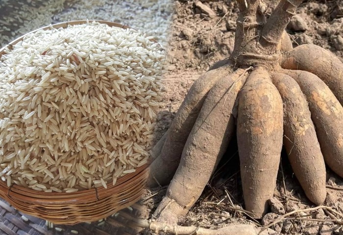 泰國稻米出口超標在望　明年保守下修目標