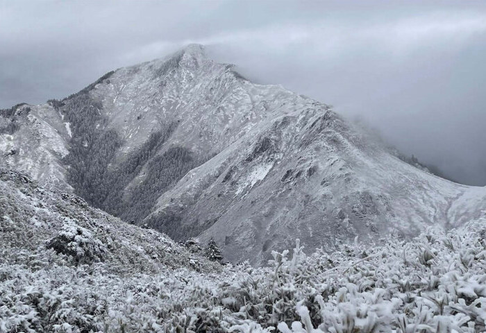 追雪景登山客失溫OHCA頻傳　專家傳授3小時黃金時間處置作為