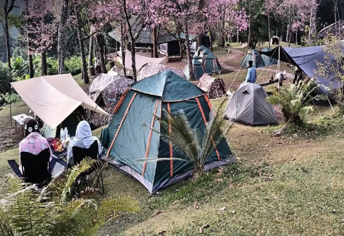 新年連假遊園熱潮　兩日逾50萬人湧入國家公園