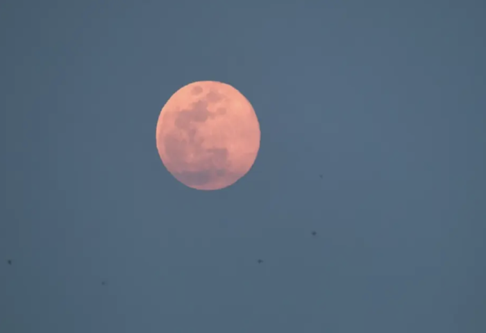 超級狼月高掛夜空　迎來2026年首輪滿月