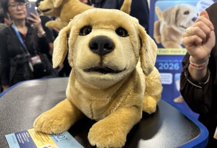 CES陪伴型機器人搶眼 美日業者計畫進軍台灣市場