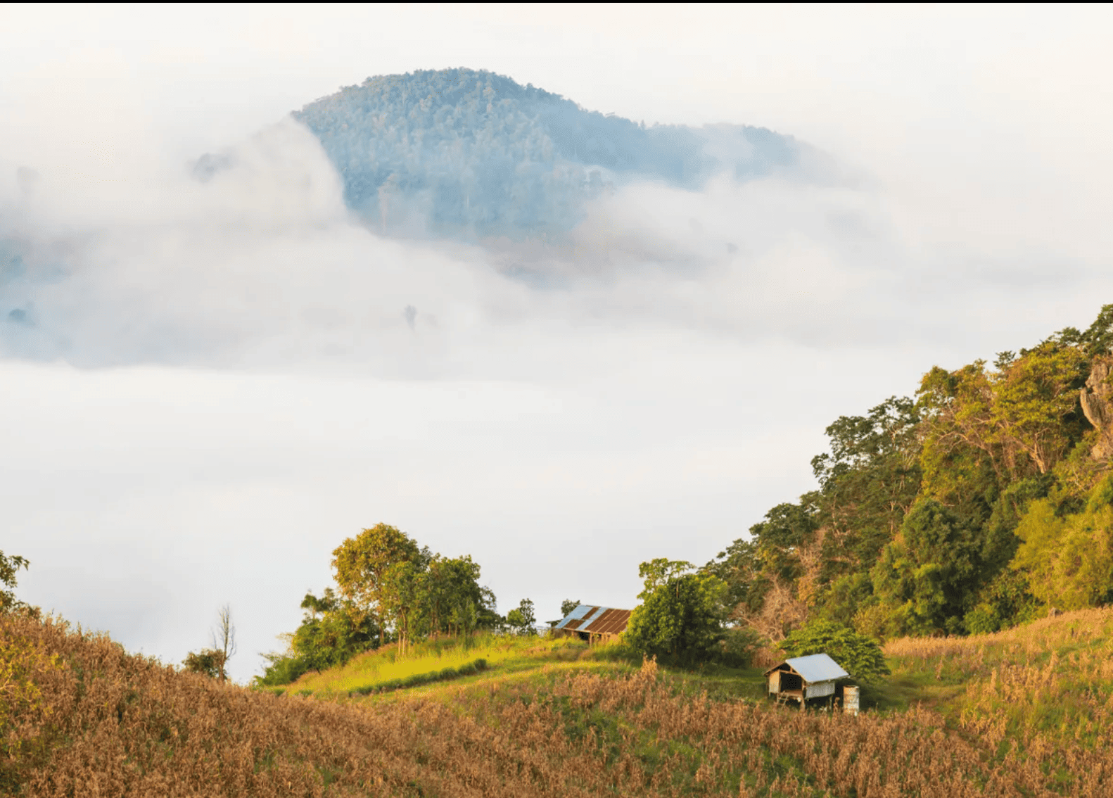 冷氣團再襲北泰　氣溫驟降6度至10日
