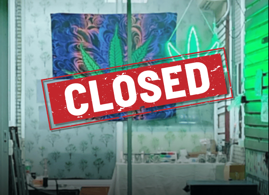 泰國收緊大麻管理　7千店停業醫療用藥不斷