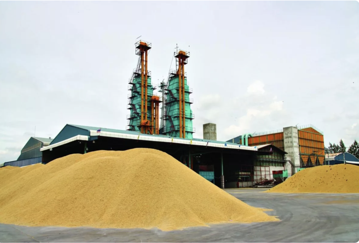 全球稻市波動未歇　泰國延長稻米扶助措施