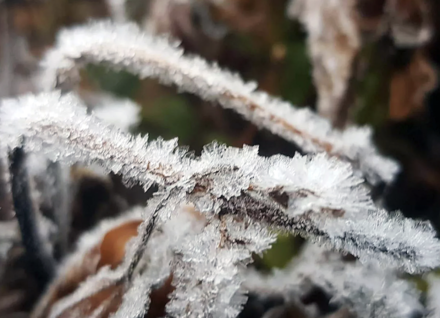 寒流再襲北泰　茵他儂山測得本季最低溫