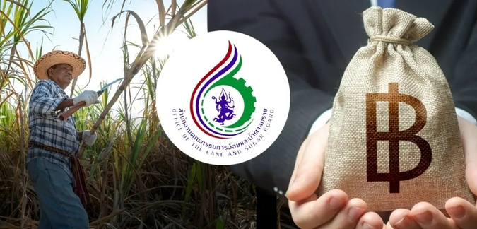 邊境衝突衝擊蔗農生計　沙繳、素林受災提報每萊 13,000 泰銖補助