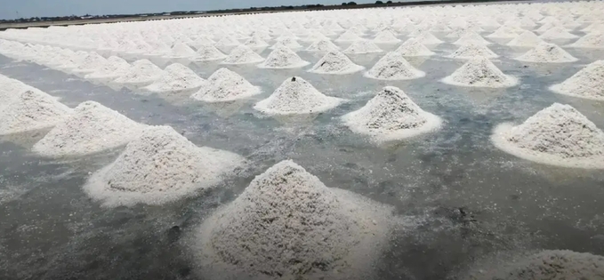 農業部加速解決海鹽問題　推登記制度並放寬信貸穩定價格