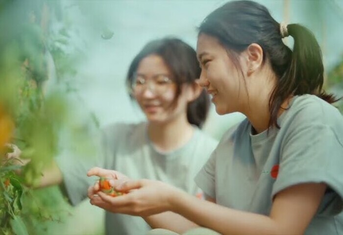 2026台灣燈會　影像、裝置藝術呈現嘉縣近年發展