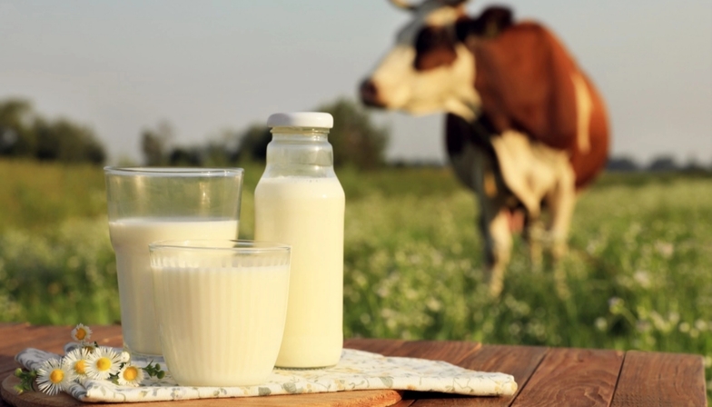 泰內閣核准 4 億流動資金貸款 挺國營乳業穩價