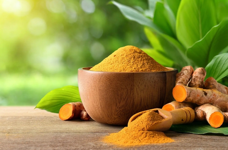 農業部力推薑黃 GAP 4 措施串聯草藥市場