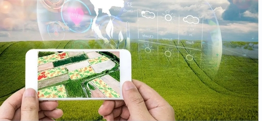 AI 重塑全球農業　智慧農耕成糧食危機解方
