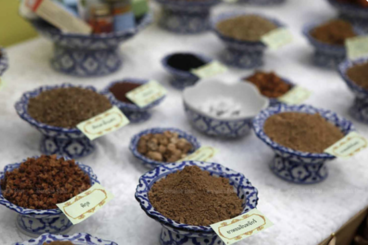 打造健康經濟新引擎　泰國力推傳統草藥走向國際