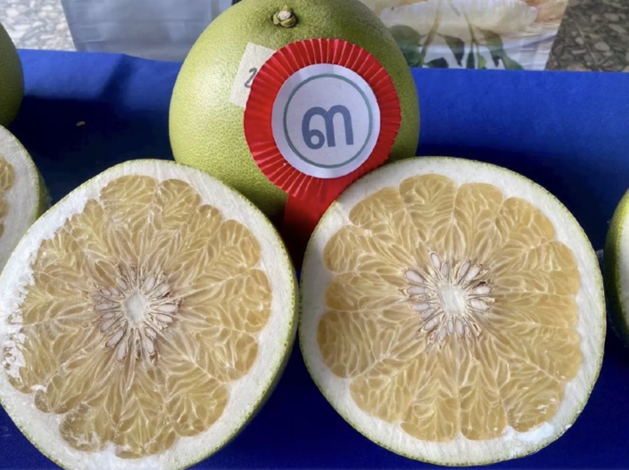 智慧財產局公告　清萊「維昂甘柚」獲GI認證