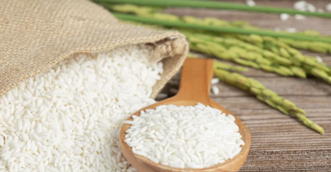 告別低價稻米　泰國以創新搶攻健康與高端市場