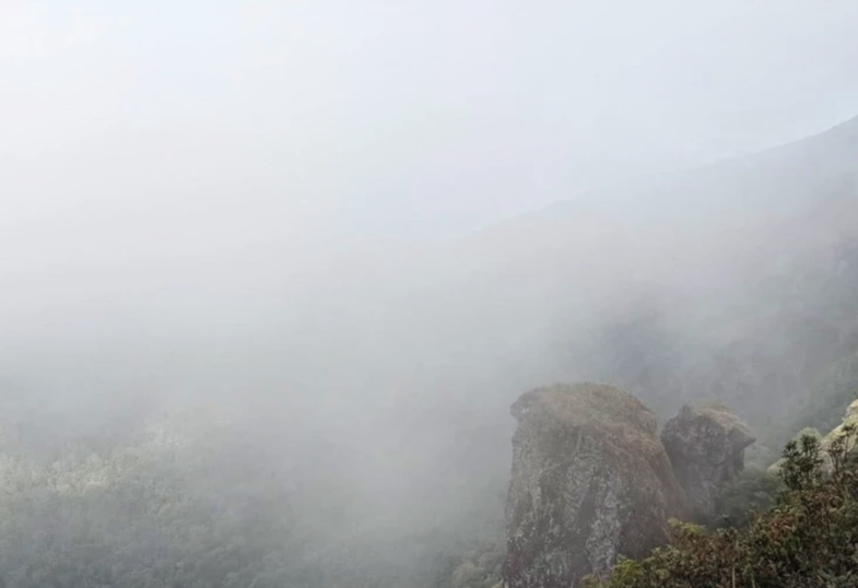 氣溫轉涼到25日　南部雨勢增、海象轉強