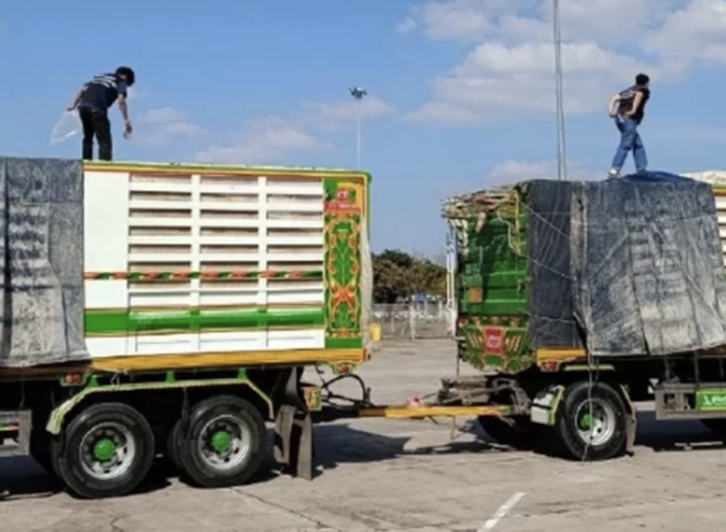 品質未達標　泰國暫停9家樹薯片進口商資格