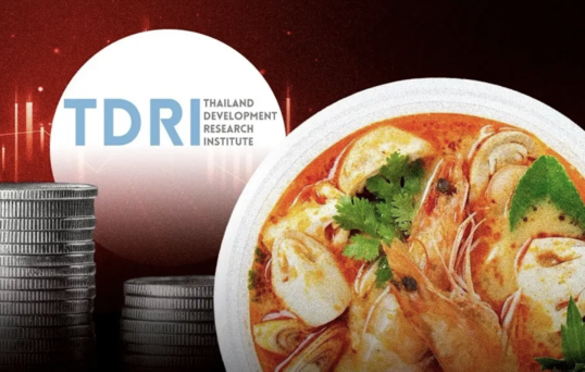 TDRI示警匯率目標制風險　恐重演亞洲金融危機