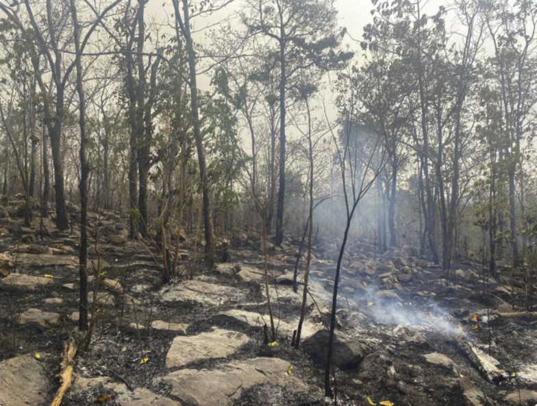 嚴打露天焚燒行為　泰國加強防制霾害