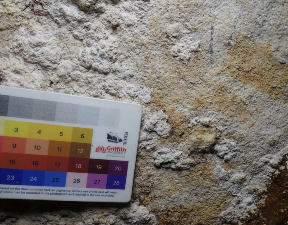 印尼發現最古老岩畫　改寫人類藝術史