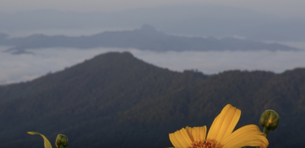 冷空氣南下　泰國北部轉冷