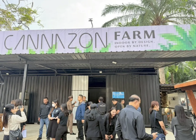 查緝外資掛名經營　克拉比破獲大麻農場