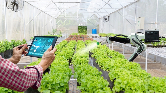 農產出口轉型　商務部：創新農業成關鍵