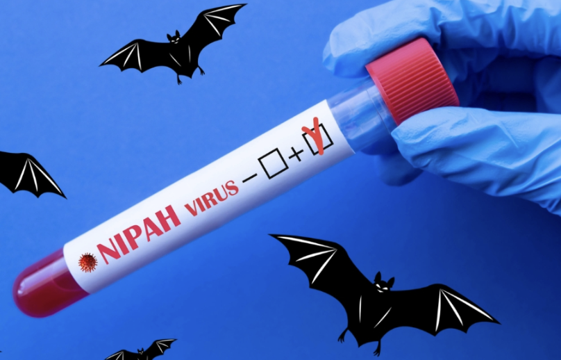 印度現尼帕病毒病例　泰國加強邊境防疫