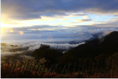 泰國氣溫回升1至2度　清晨有霧仍偏涼