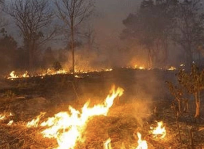 三國聯手抗霾升級　泰寮緬推動跨境空汙行動計畫