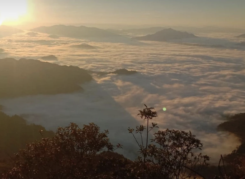 全泰清晨偏涼　南部零星降雨