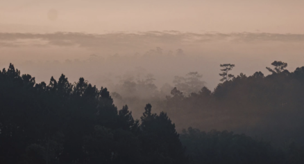 冷氣團南下影響　泰國轉涼曼谷現霧