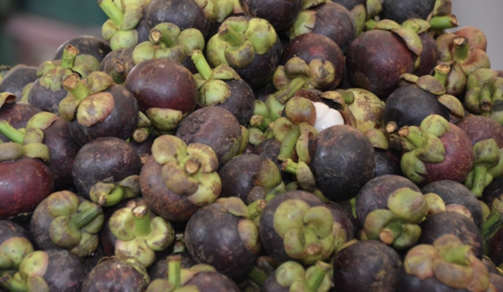 「Q Chan」品牌啟動　尖竹汶山竹進軍高端市場