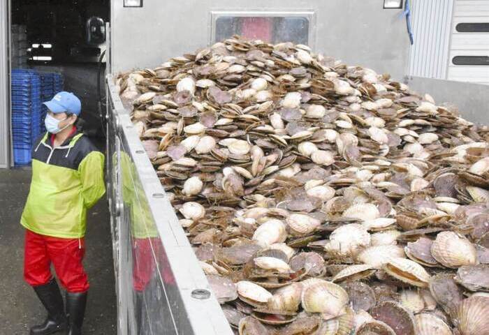 日本2025農林水產食品出口連13年創新高　對中國增7%