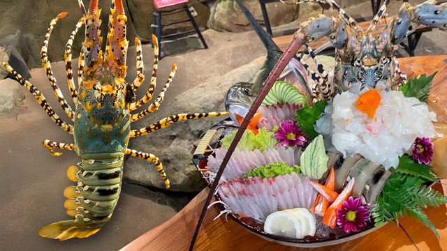 普吉七彩龍蝦獲GI　年產值逾6500萬