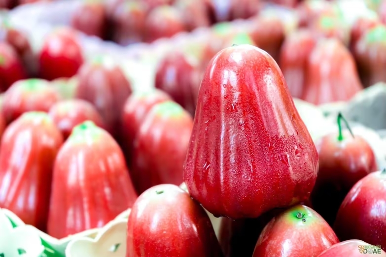 沙繳再添GI果品　孔哈運河蓮霧登錄