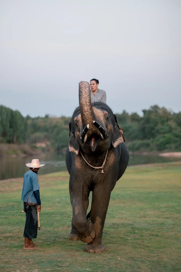 學習旅遊翻轉科教　延續人象共生文化