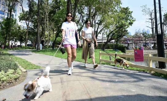 倫披尼犬隻公園啟用　曼谷公共空間再升級
