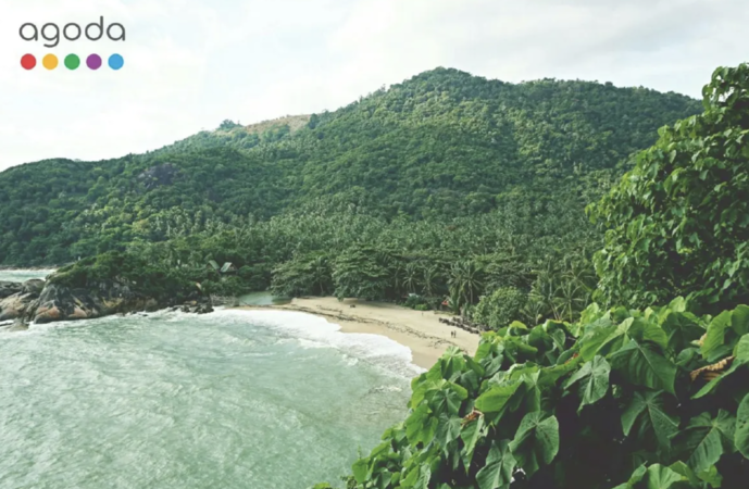 情人節訂房熱度升溫　素叻他尼搜尋暴增10倍