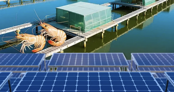 健康食品與AI驅動漁業轉型　農部補助10萬推智慧養殖