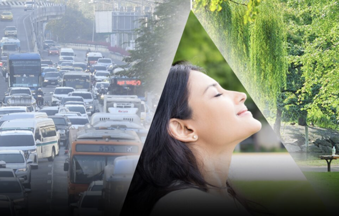 曼谷PM2.5改善　市府推3策略10措施