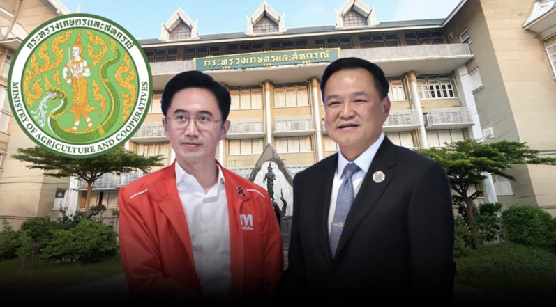 組閣分配浮現輪廓　為泰黨掌農業教育