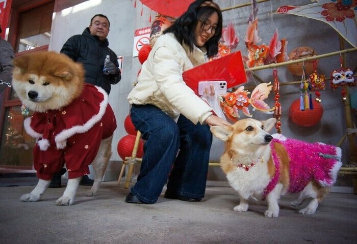 中國寵物消費市場突破1.4兆元　毛孩過年花樣多