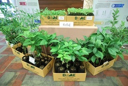 農業推良種擴繁　全國建構10中心體系