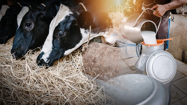 泰推乳業轉型　開發農用生物製劑