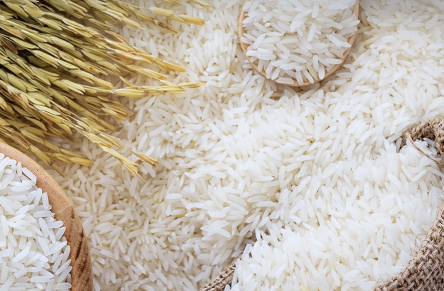 商務部推百萬噸優質米計畫　農民觀望成本壓力