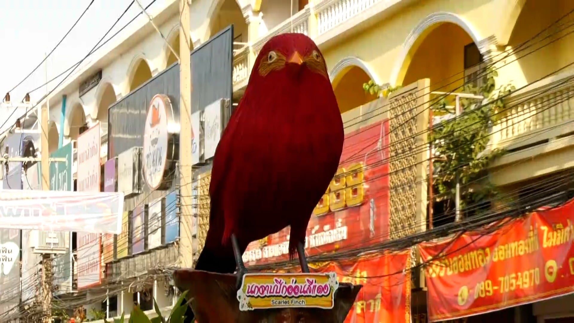 第41屆稻草鳥博覽會　展至3月1日