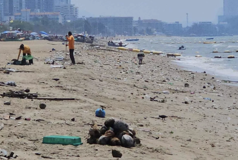 喬木提恩海灘堆滿垃圾　遊客人潮明顯減少