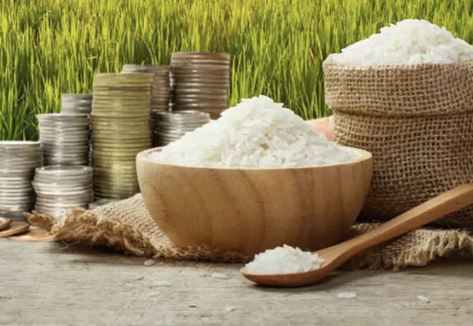 全球稻米貿易2026創新高　泰國受強勢泰銖衝擊競爭力下滑