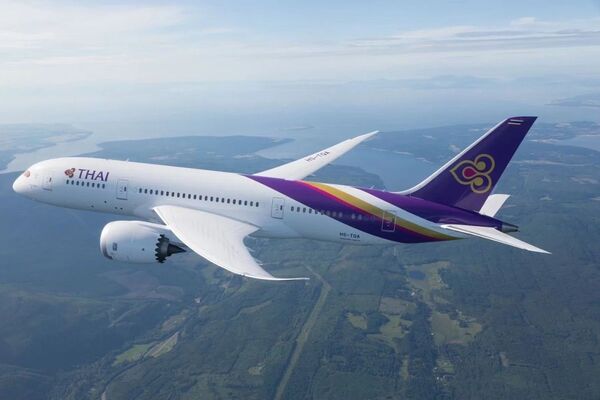 泰航2025轉盈　恢復發放股利