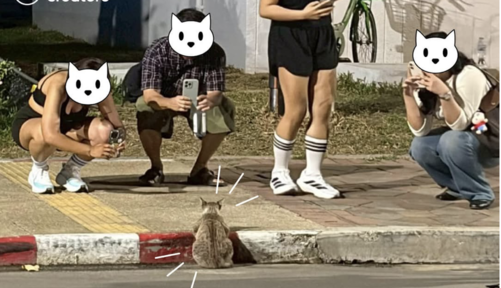 曼谷倫披尼新地標    浪喵坐吧檯等飲料　